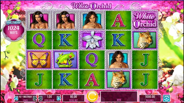 White Orchid Online Slot